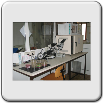 Laboratorio Langhirano